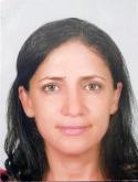CV image