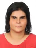 CV image